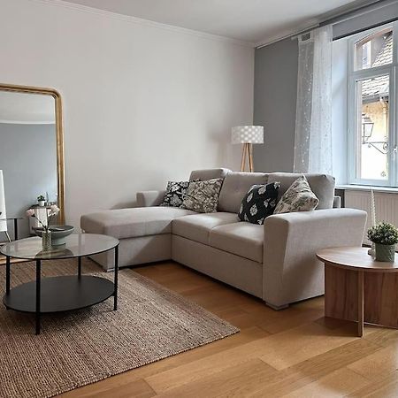Hypercentre 80M2, A Deux Pas Du Chateau Des Rohan Saverne Kültér fotó