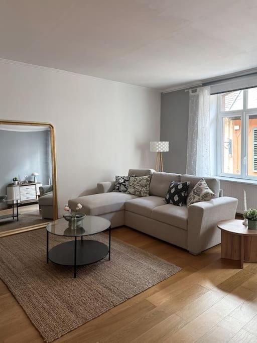 Hypercentre 80M2, A Deux Pas Du Chateau Des Rohan Saverne Kültér fotó