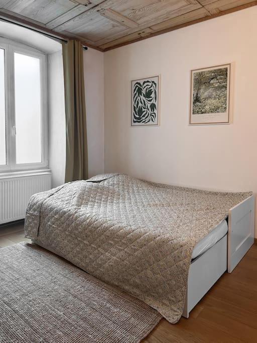 Hypercentre 80M2, A Deux Pas Du Chateau Des Rohan Saverne Kültér fotó
