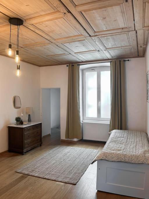 Hypercentre 80M2, A Deux Pas Du Chateau Des Rohan Saverne Kültér fotó