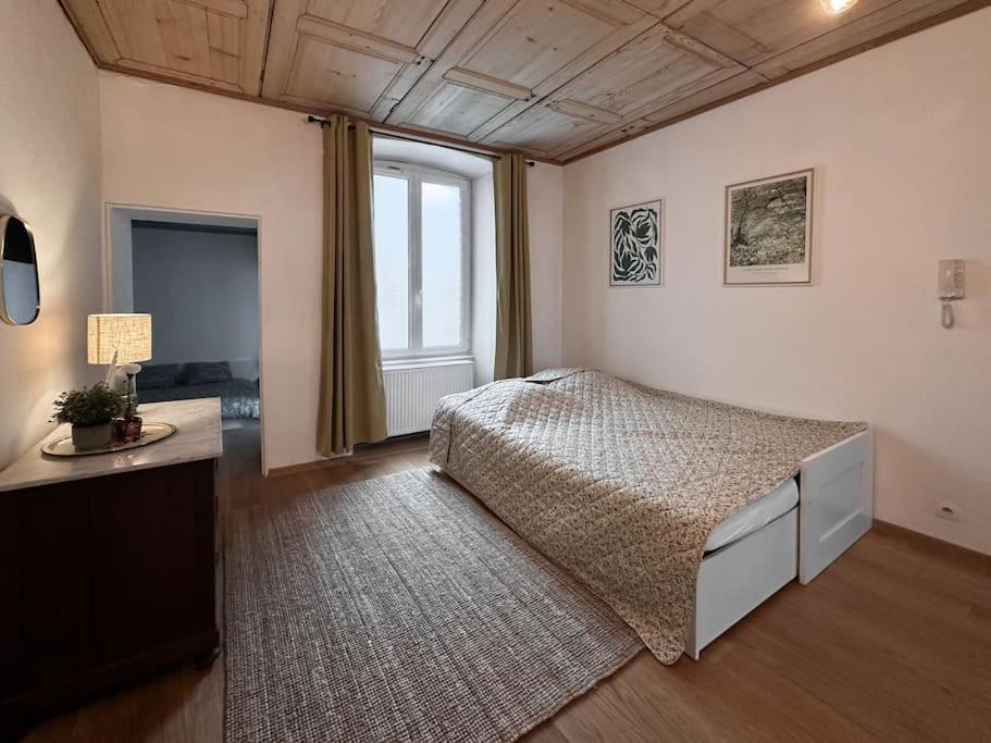 Hypercentre 80M2, A Deux Pas Du Chateau Des Rohan Saverne Kültér fotó